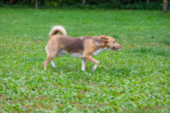 2023_HNH_KarlottaFreunde-14