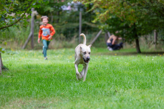 2023_HNH_KarlottaFreunde-70
