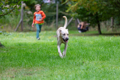 2023_HNH_KarlottaFreunde-71