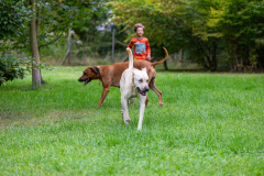 2023_HNH_KarlottaFreunde-74