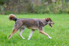 2023_HNH_KarlottaFreunde-84