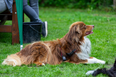 2023-Sommerfest-251