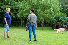 2023-Sommerfest-6